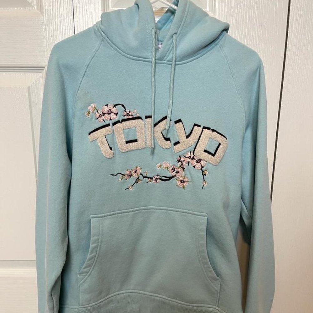 Blue UO Tokyo Embroidered Chenille Hoodie Sweatshirt